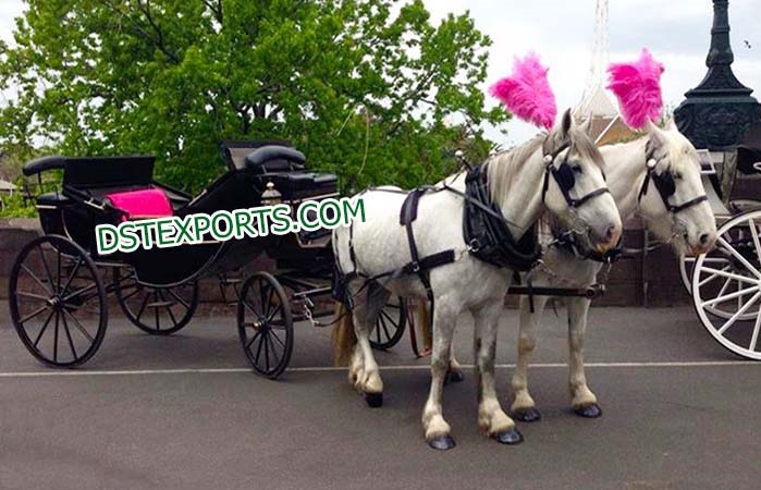 Latest Horse Drawn Buggys Carriages