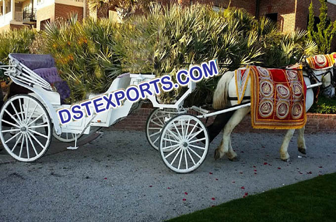 Wedding Horse Baghi Howdah Decor