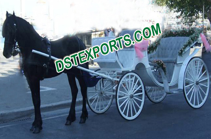 Latest White Horse Carriages