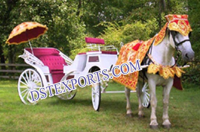 Indian Wedding Horse Carriages
