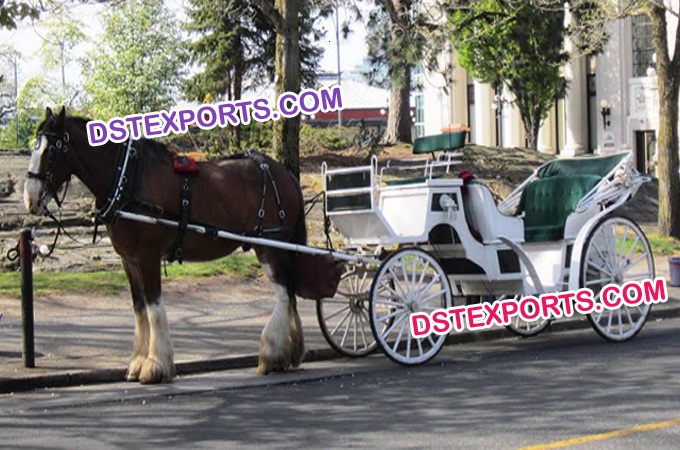 Stylish Antique Victoria Horse Carriage