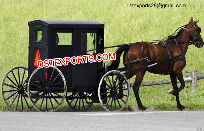 Black Covered Horse Drawn Buggy