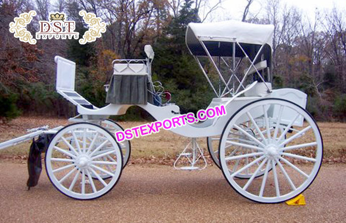 Beautiful White Two Seater Carriage