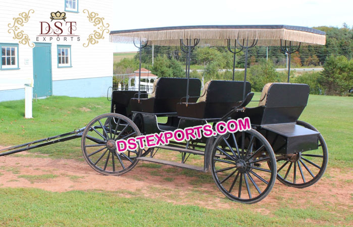 Three Seater Limousine Horse Drawn Buggy