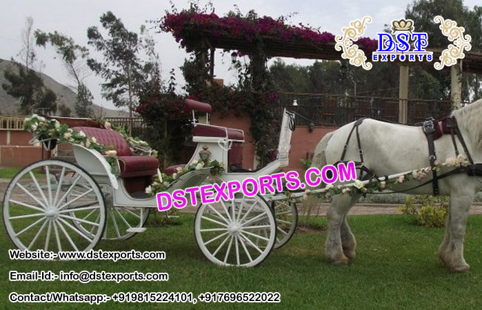 Elegance Victorian Horse Carriages