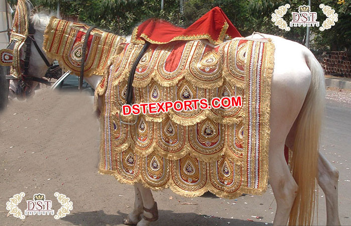 Indian Groom Horse Decorative Costume