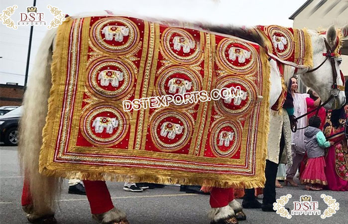 Indian Wedding 7pcs Horse Costume Set
