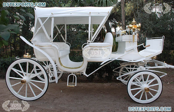 Covered White Vis-a-Vis Horse Drawn Carriage