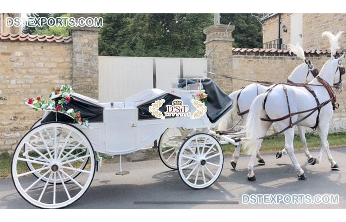 Open Top Touring Horse Carriage for Sale