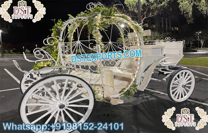 Luxury Horse Drawn Queen Cinderella Carriage