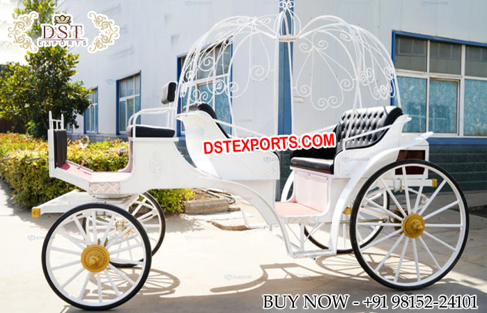 Stylish American Wedding Ride Cinderella Carriage