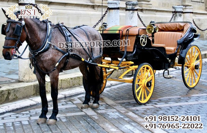 High Quality Four Seater Horse Drawn Carriage