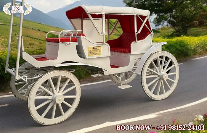 Top Class Design Victoria Horse Carriage