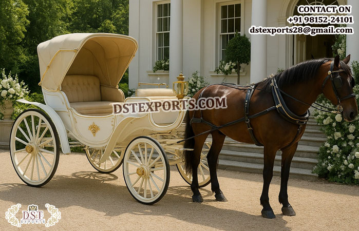 Royal Horse Drawn Britzka Carriage for Touring