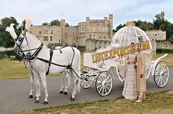 Love Marriage Cinderella Horse Carriage