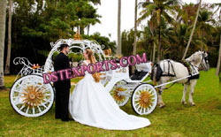 CINDERALA STYLE HORSE CARRIAGE