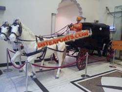 INDIAN WEDDING DECORATION HORSE BAGHI