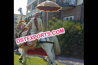 Indian Barat Horse Dress Howdah