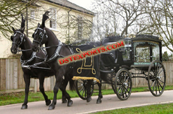 ROYAL BLACK FUNERAL HORSE CARRIAGE