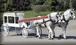 WHITE FUNERAL HORSE CARRIAGE