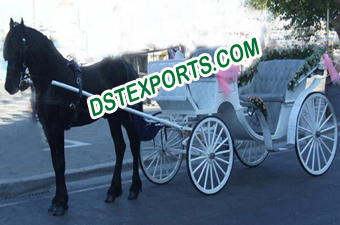 Latest White Horse Carriages