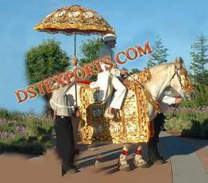 Indian Baraat Horse Costume