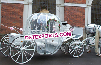 New Cinderella Elegant Carriage Buggy