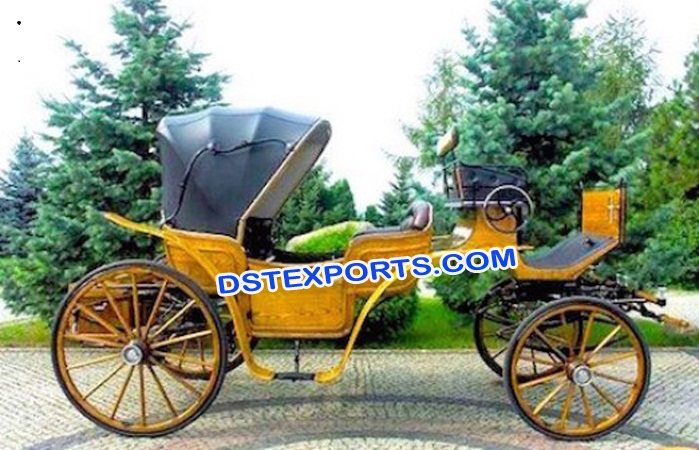 Beautiful Victoria Horse Carriage Buggy