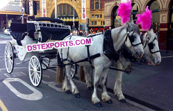 White Victoria Horse Buggy For Touring