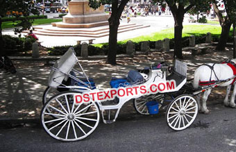 Decorated Indian Wedding Horse Buggy Carriage