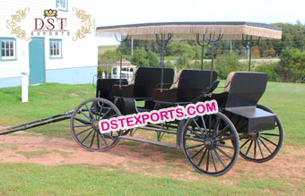 Three Seater Limousine Horse Drawn Buggy