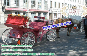 Stylish Victorian Horse Carriage Vehicle