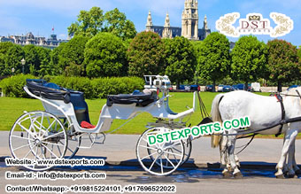 Romantic Vieena Horse Drawn Carriage For Sale