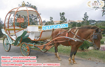 Elegant Wedding Cinderella Horse Carriage