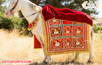 Baraat Horse Costume for Traditional Wedding