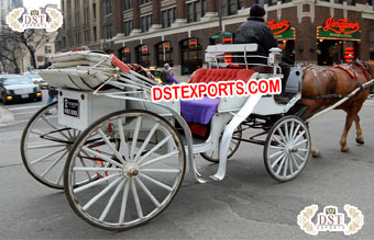 White Victorian Sightseeing Horse Carriage