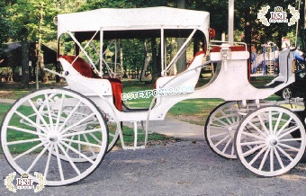 Four Seater Horse Drawn Touring Carriage