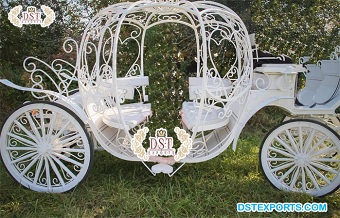 Heart Shaped Cinderella Horse Drawn carriage