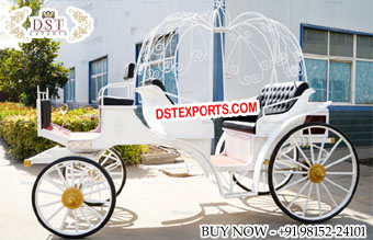 Stylish American Wedding Ride Cinderella Carriage