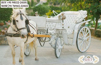 White French Style Horse Drawn Carriage
