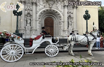 Royal Victorian Design Sightseeing Carriage