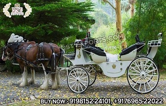 Victorian White Theme Exclusive Wedding Carriage