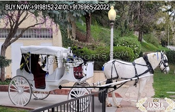 Astonishing Horse Drawn Covered Victorian Carriage