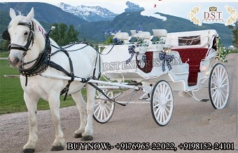 Deluxe Victorian Style Horse Drawn Buggy