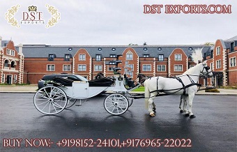 Deluxe Victorian Style Horse Drawn Carriage\ Buggy