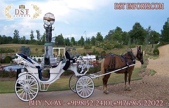Royal Look Victoria Style Horse Cart Buggy