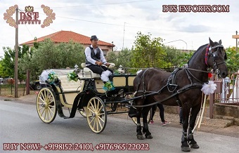 Vintage Style Open Horse Carriage For Weddings