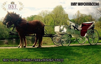 Elegant Victorian Style Horse Driven Carriage