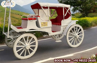 Top Class Design Victoria Horse Carriage