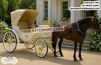Royal Horse Drawn Britzka Carriage for Touring